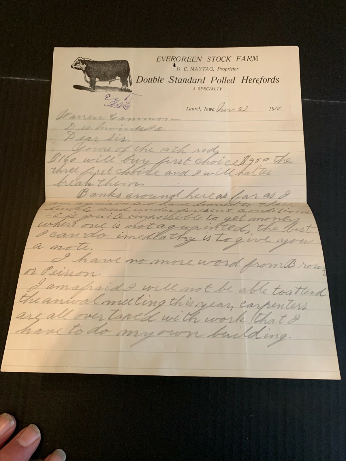 November 22 1910 Evergreen Stock Farms Polled Herefords Letterhead Laurel Iowa
