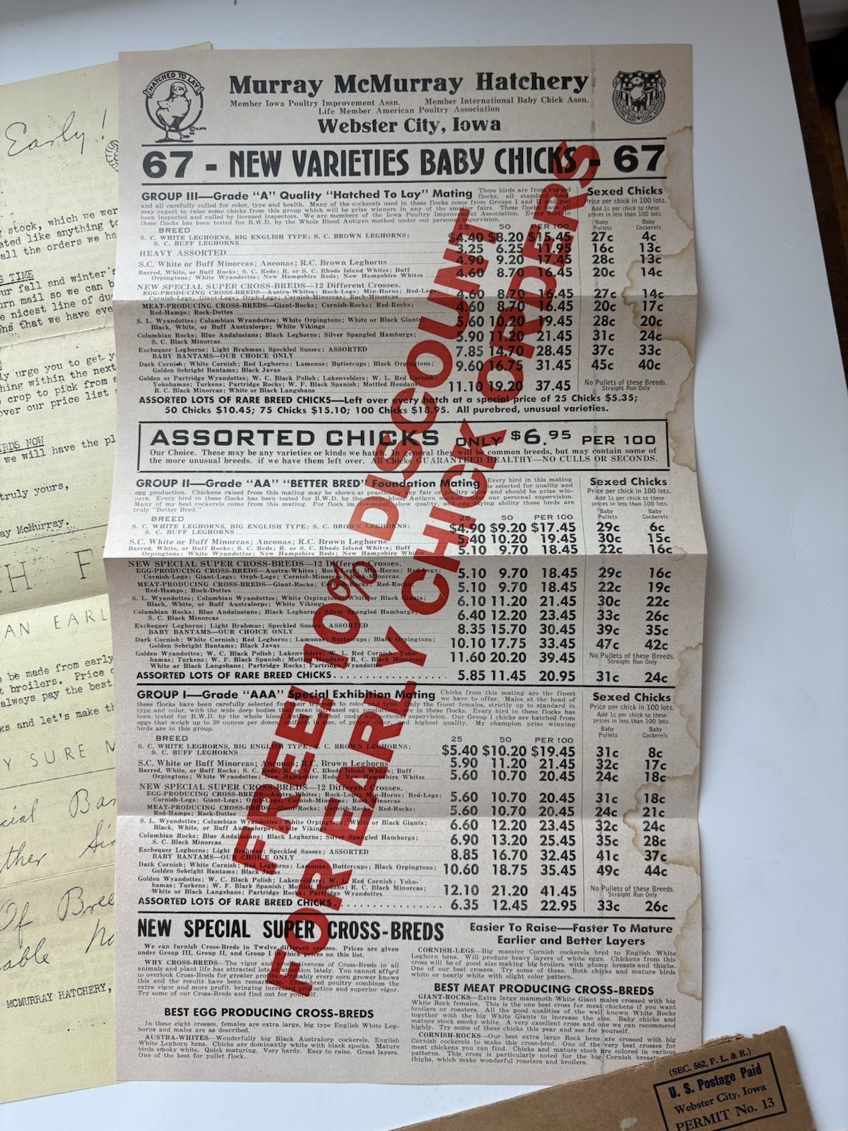 Vintage 1948 Murray McMurray Hatchery Webster City Iowa Chicks Stock Advert Lot