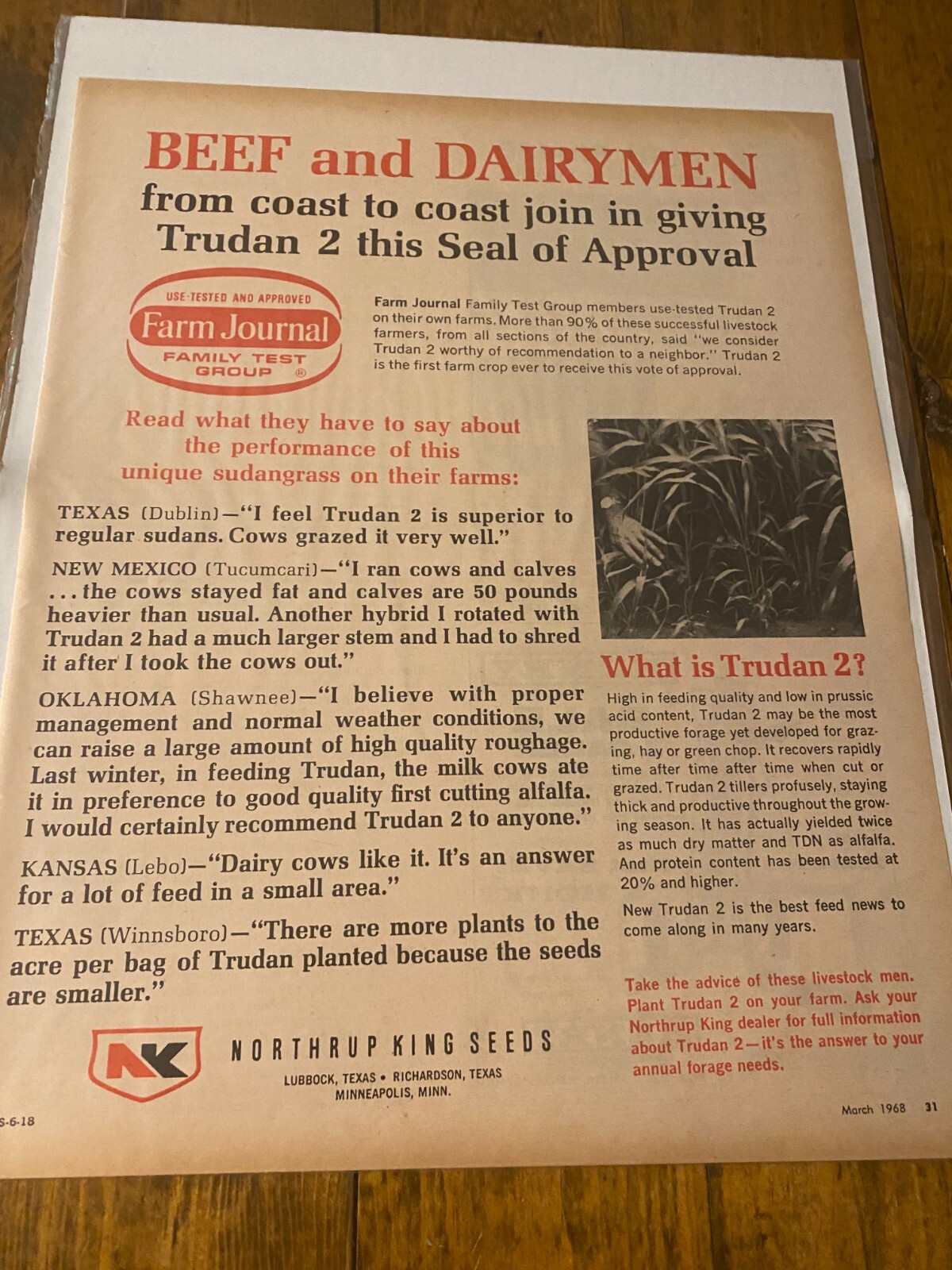 Vintage 1968 Northrup King Seeds Beef & Dairymen From Coast To Coast Approve ad