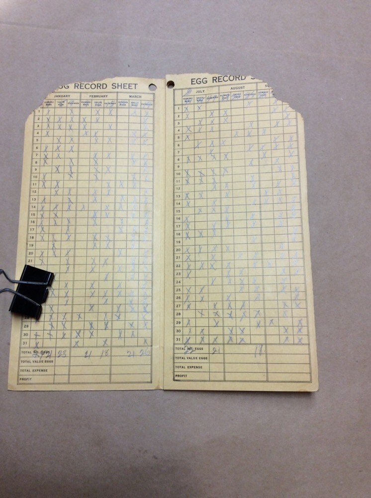 Kasco Egg Record Booklet FINV-P0352