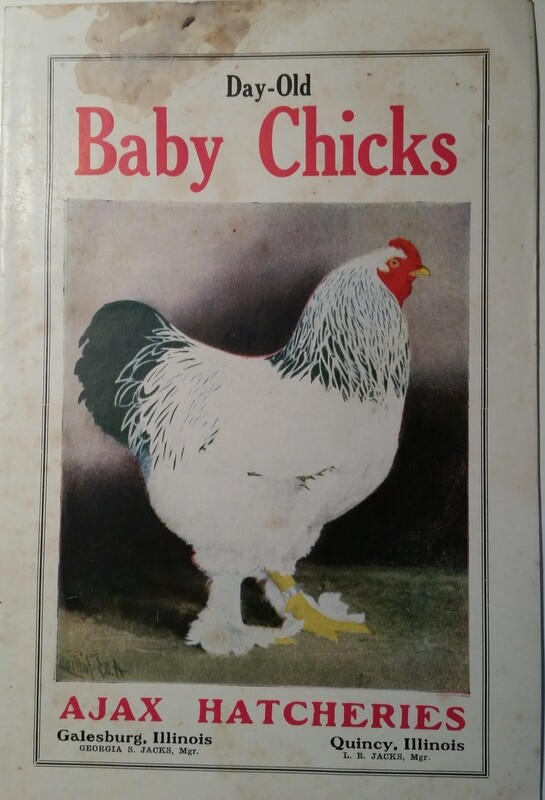 1927 Day-Old Baby Chicks Catalog Ajax Hatcheries Galesburg Quincy Illinois