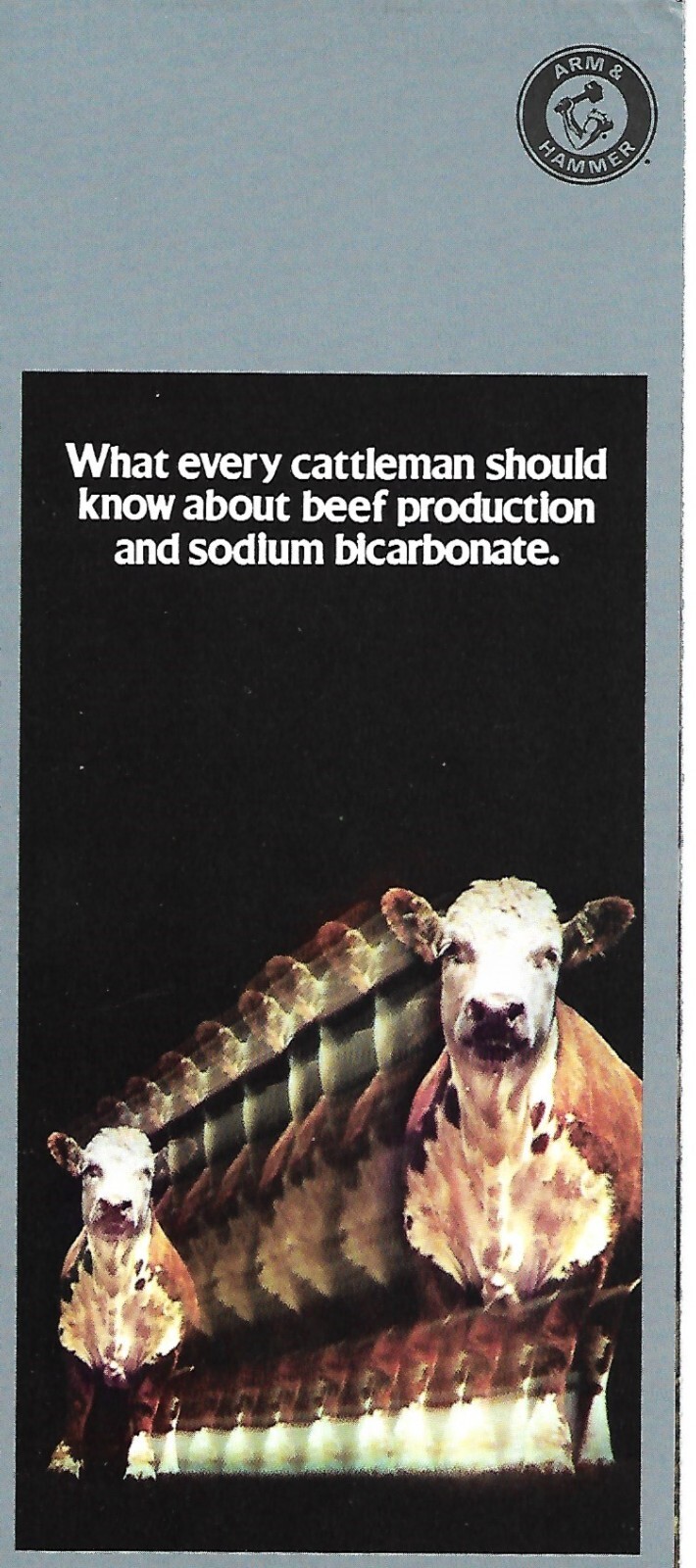 Farmer Education Leaflet – Arm & Hammer Sodium Bicarbonate – Beef Cattle (F8417)