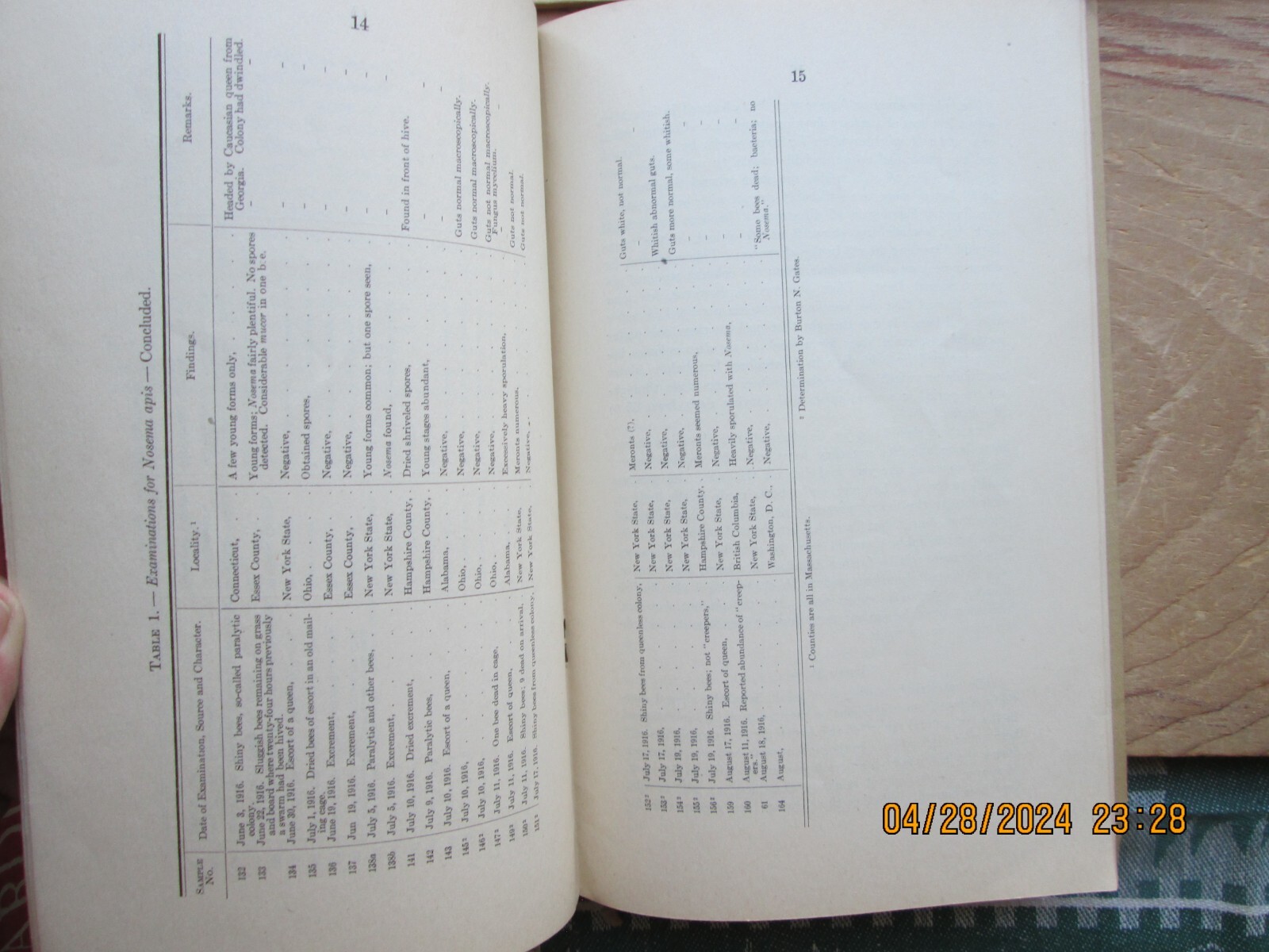 Annual report state inspector of apiaries for the year 1916 Massachusetts