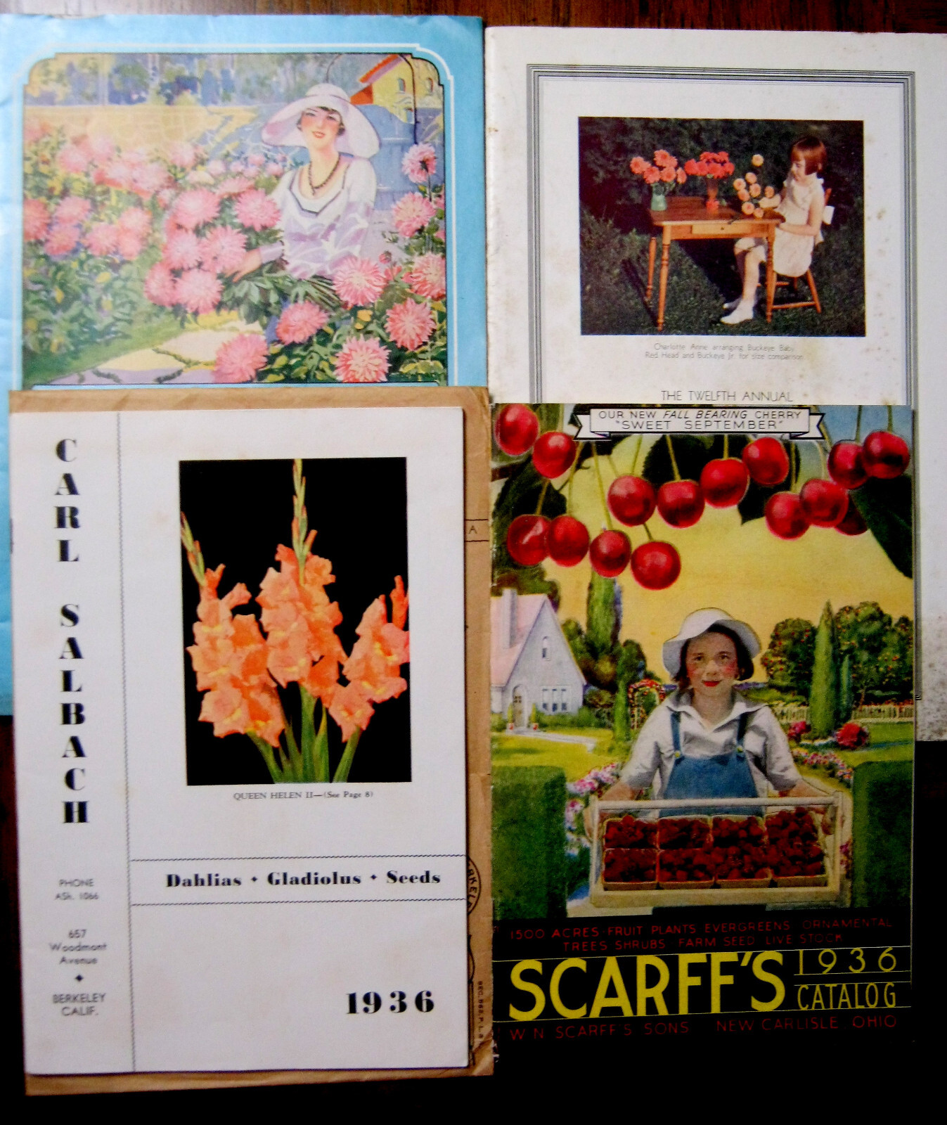 HUGE 1900-50&rsquo;s Collection DAHLIAS & Flower Clubs Seeds BOOKLETS Brochure Letters