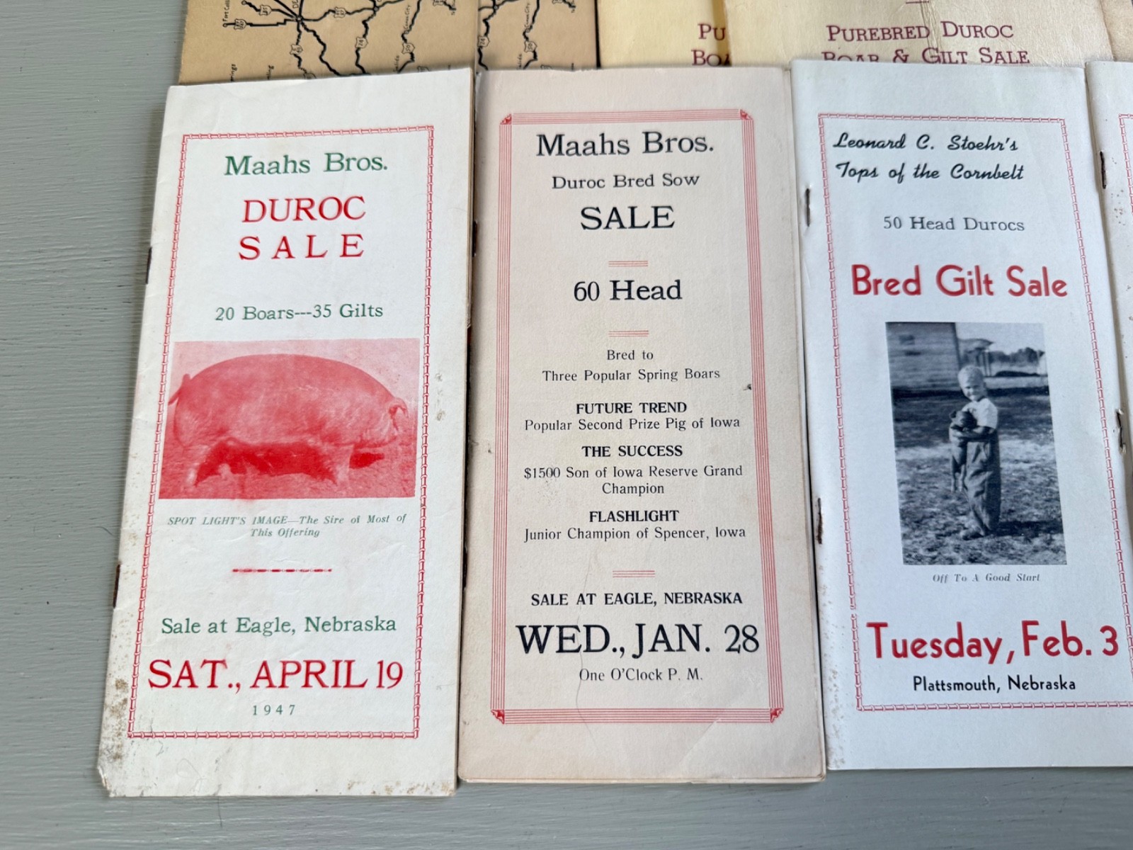 Mixed Lot of 34 Vintage Duroc Pig Hog Auction Sale Brochure Advertising KS NE CO
