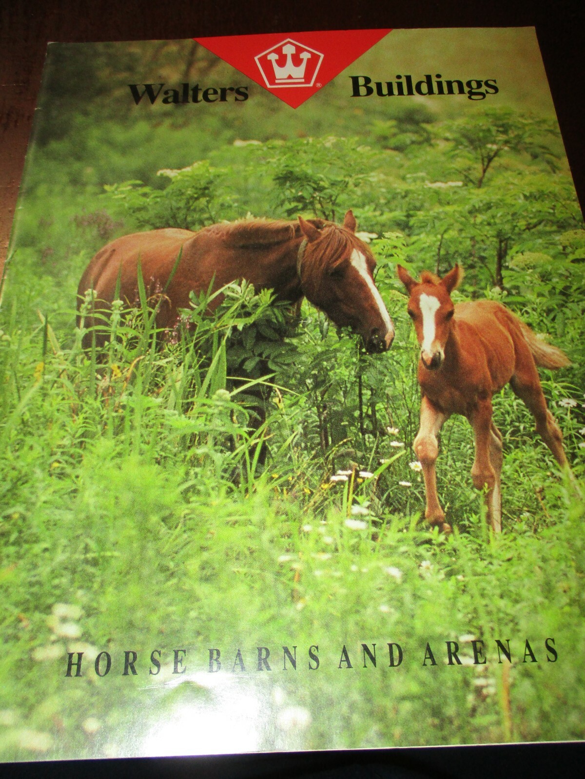 Walters Buildings « Horse Barns and Arenas » Sales Brochure 1993