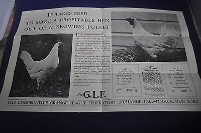 1929 Grange League Federation [Ithaca, NY] Feed & Fertilizer Brochure