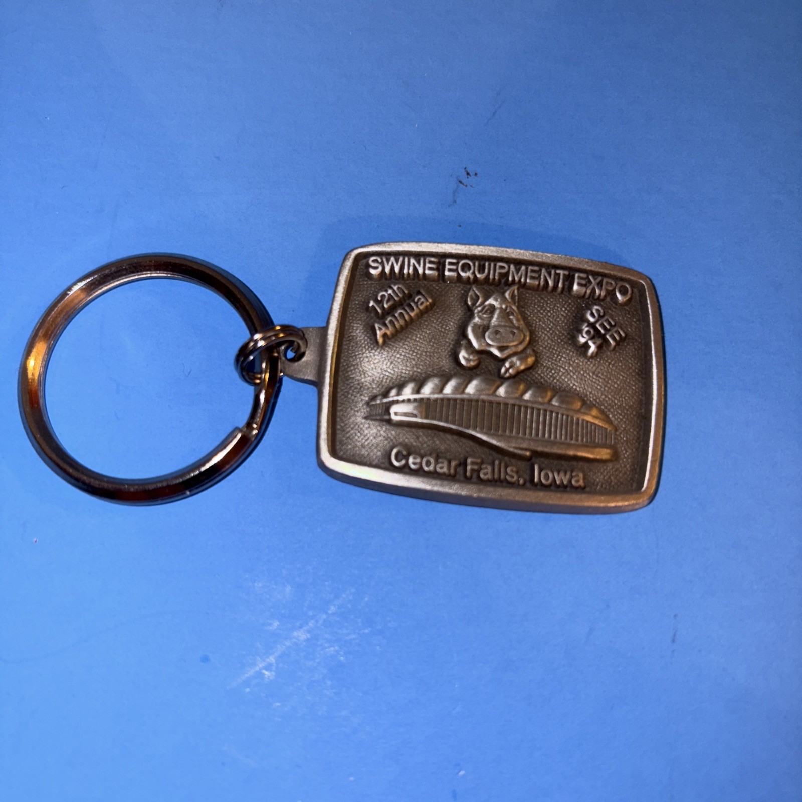 Cedar Falls Iowa Unidome Swine Equipment Expo 1994 Keychain