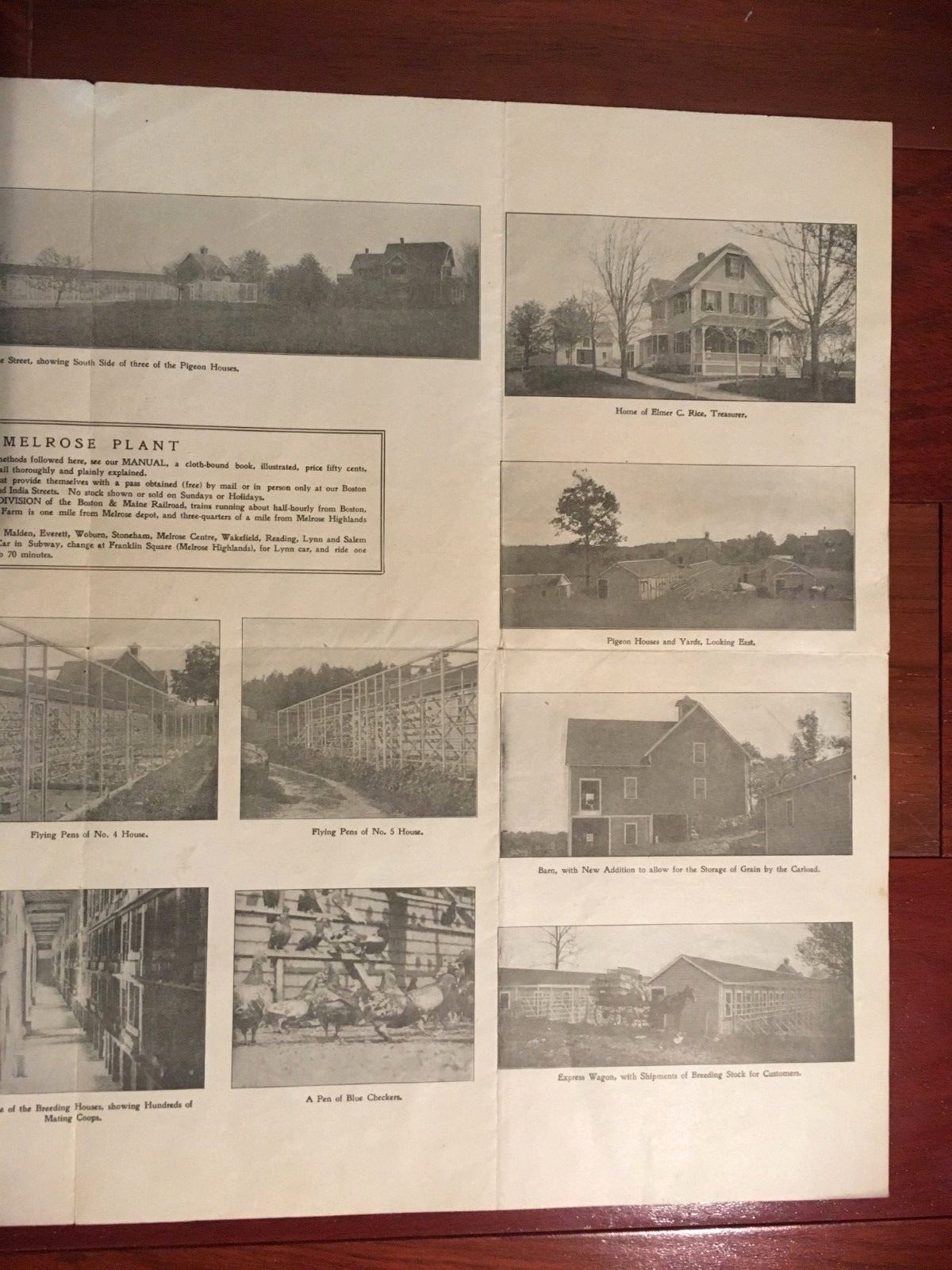VINTAGE 1907 PIGEON SQUAB FARMING ADVERTISING POSTER BROCHURE 15 X 22&Prime; BOSTON MA