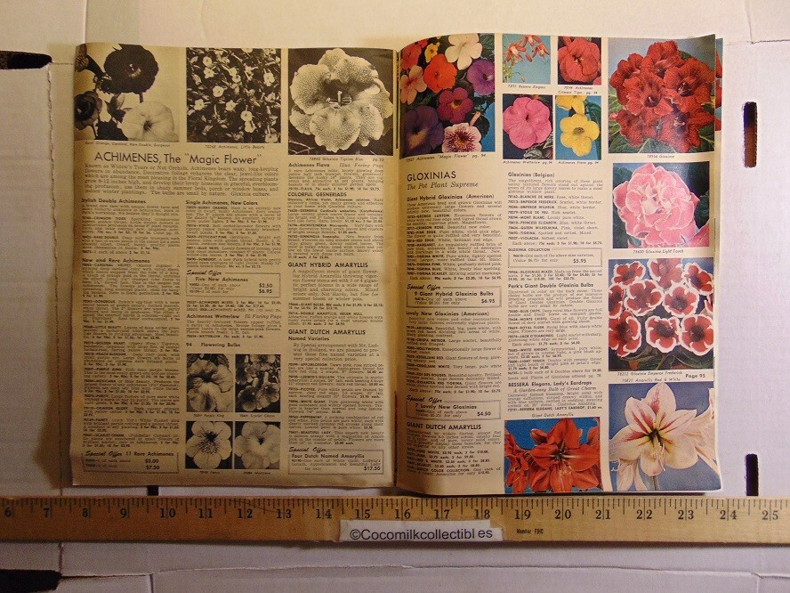 Vintage 1969 Geo W Park Seed Co Flower Book Greenwood South Carolina