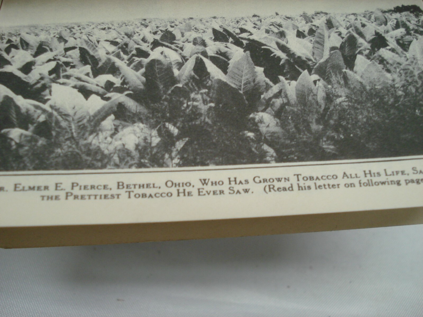 1938 V C FERTILIZER VIRGINIA CHEMICAL BROCHURE BOOKLET STORIES NOTES