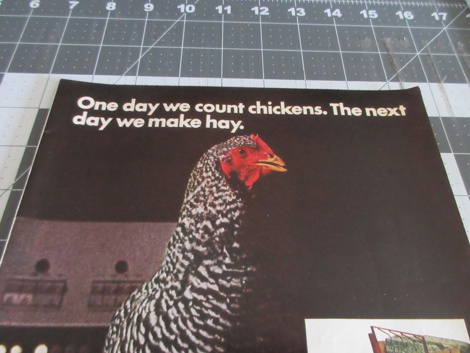 1970 Sperry Rand « One Day We Count Chickens. The Next Day We Make Hay » Print Ad