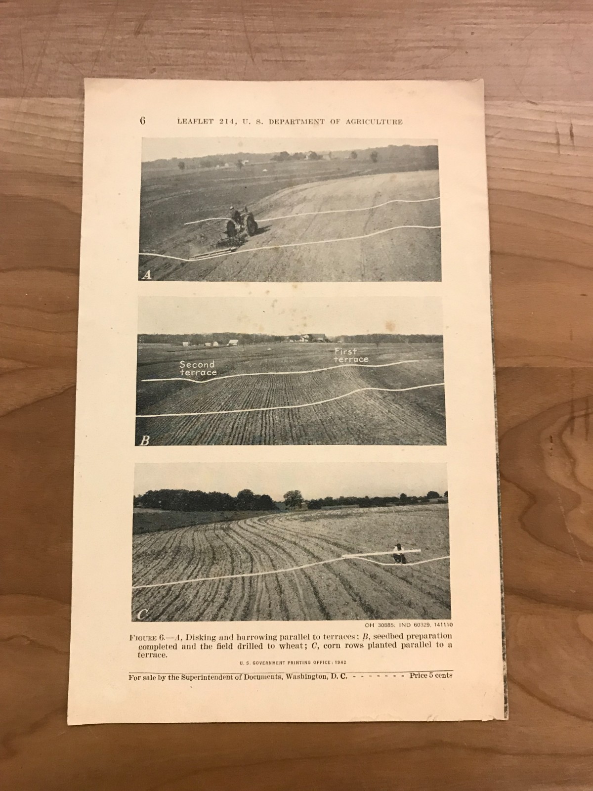 1942 Plowing Terraced Land by US Dept. of Agriculture Leaflet #214