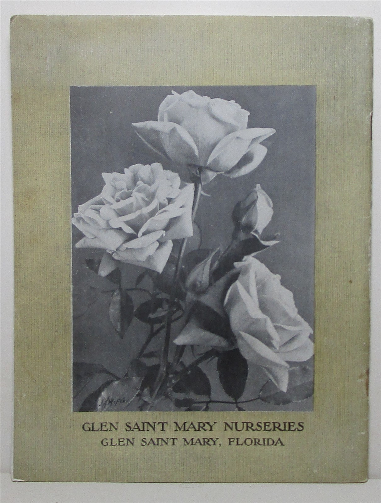 1907 Glen Saint Mary Nurseries catalog, Florida