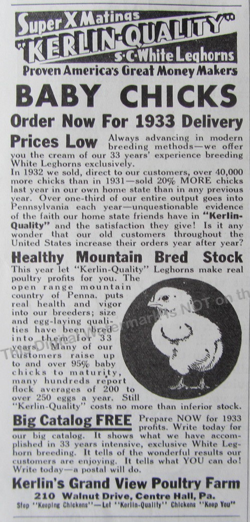 1932 Print Ad * Kerlin’s Grand View Poultry Farm Centre Hall PA Buy Baby Chicks