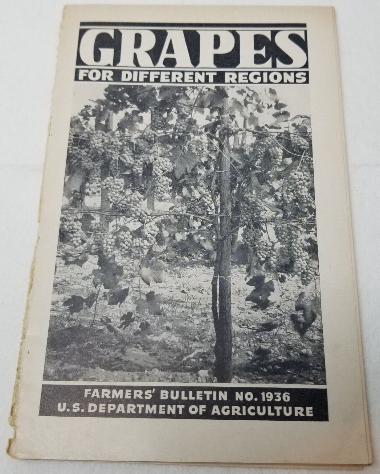 Grapes for Different Regions 1943 Farmers&rsquo; Bulletin Booklet 1936 USDA Photos