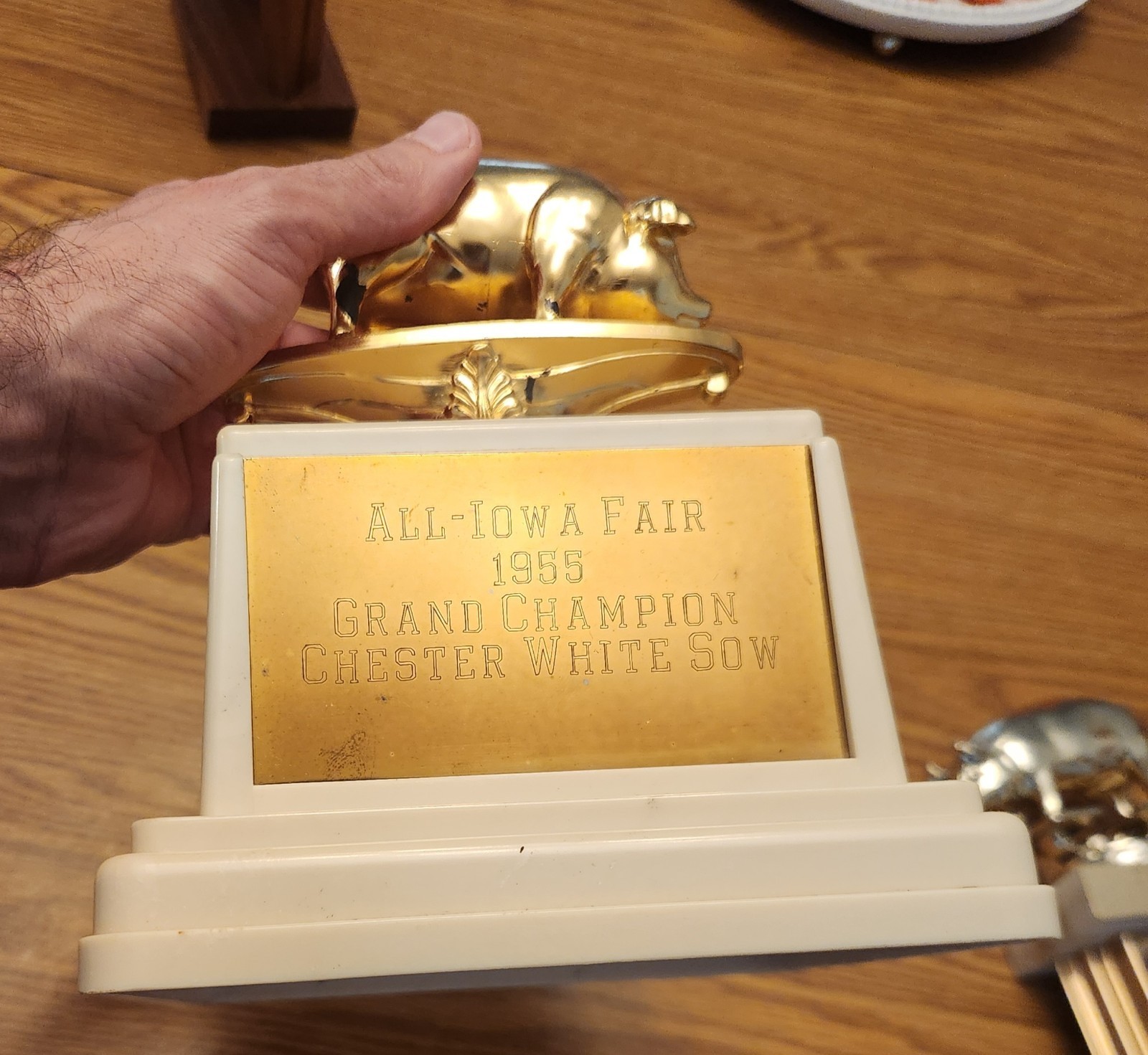 🐖1950s🔥RARE Pig Hog Trophy Champion Market Boar Sow CHESTER WHITES Iowa Sign