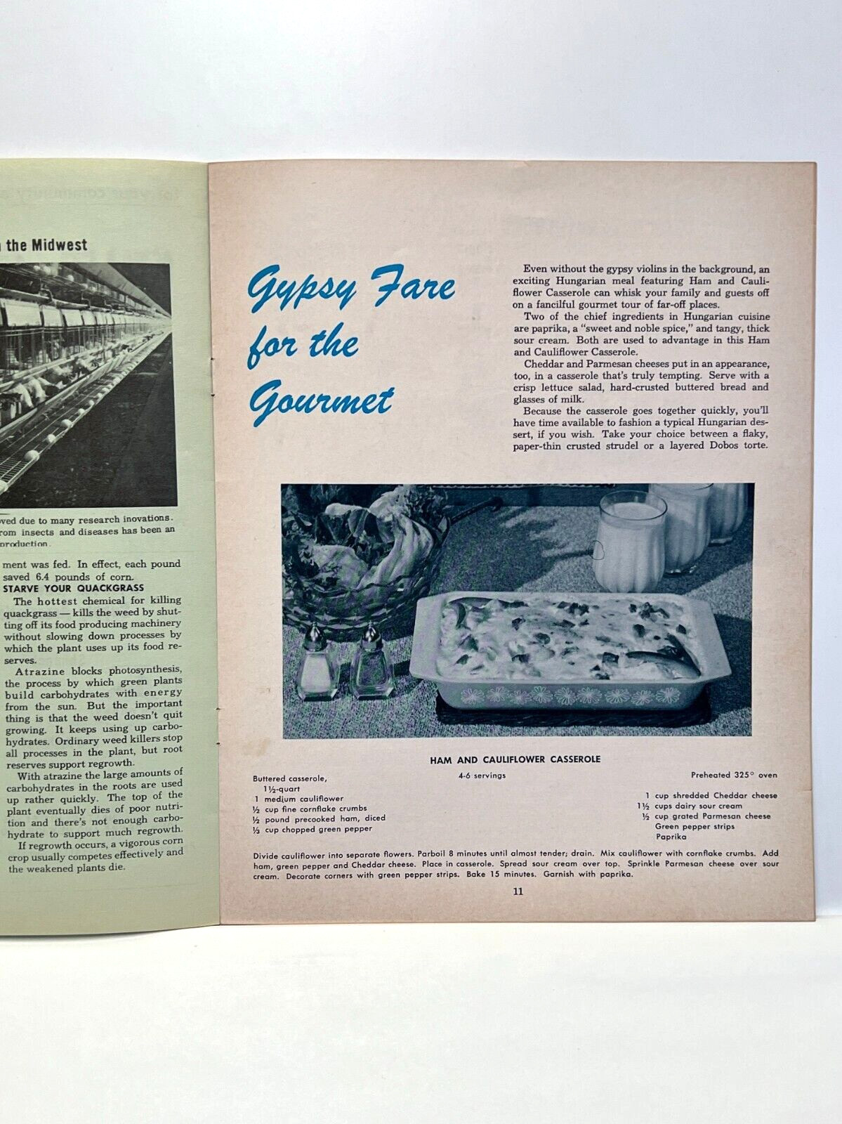 Vintage January February 1964 PCA Farming Production Credit Association Magazine