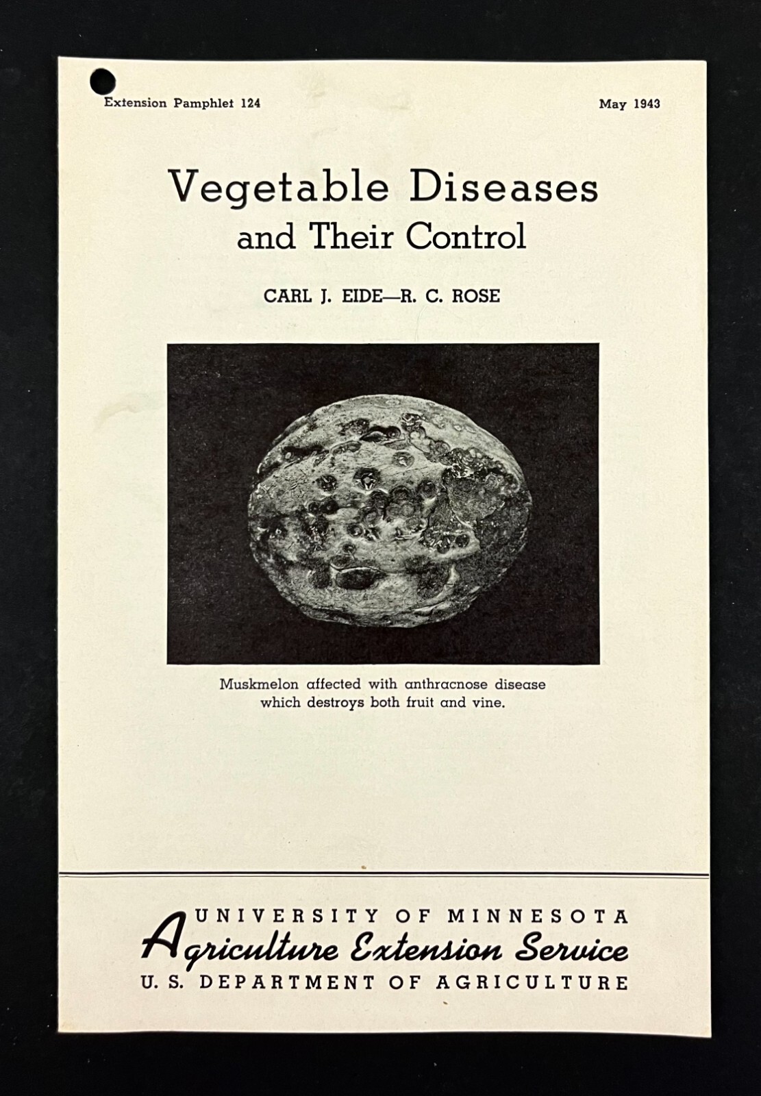 1943 Control Vegetable Diseases Gardening Vintage Farmer&rsquo;s Extension Pamphlet
