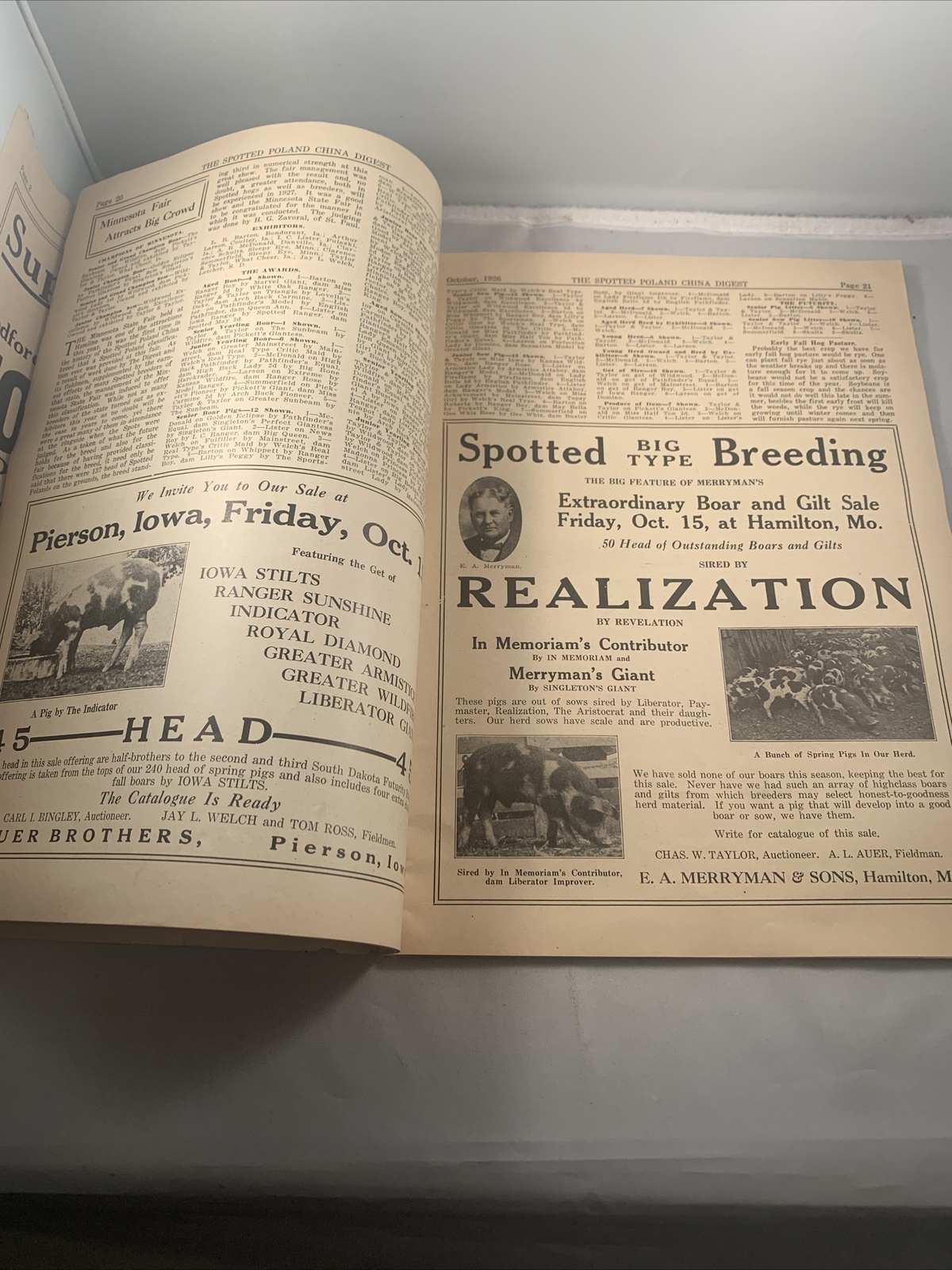 Spotted Poland China Pig Hog Digest October 1926 Missouri Kansas City Catalog