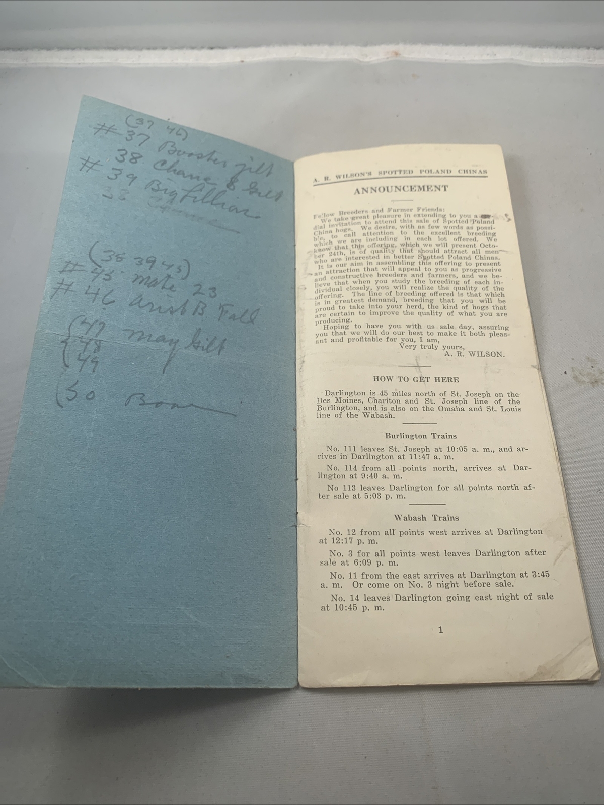 1924 Hog Sale Brochure Wilson’s Prolific Poland China Pig Farm Darlington MO