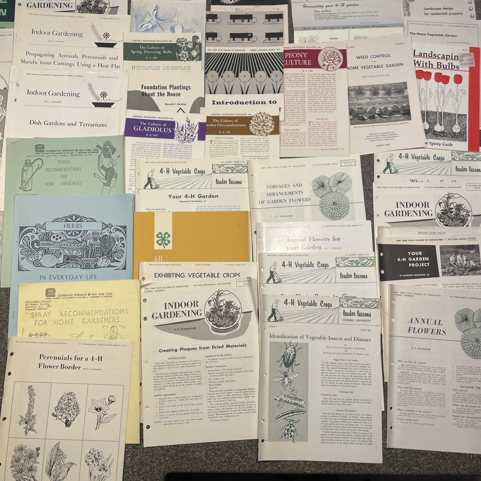 Large Lot Vintage 4H And Cornell Cooperative Extension Gardening Brochures.