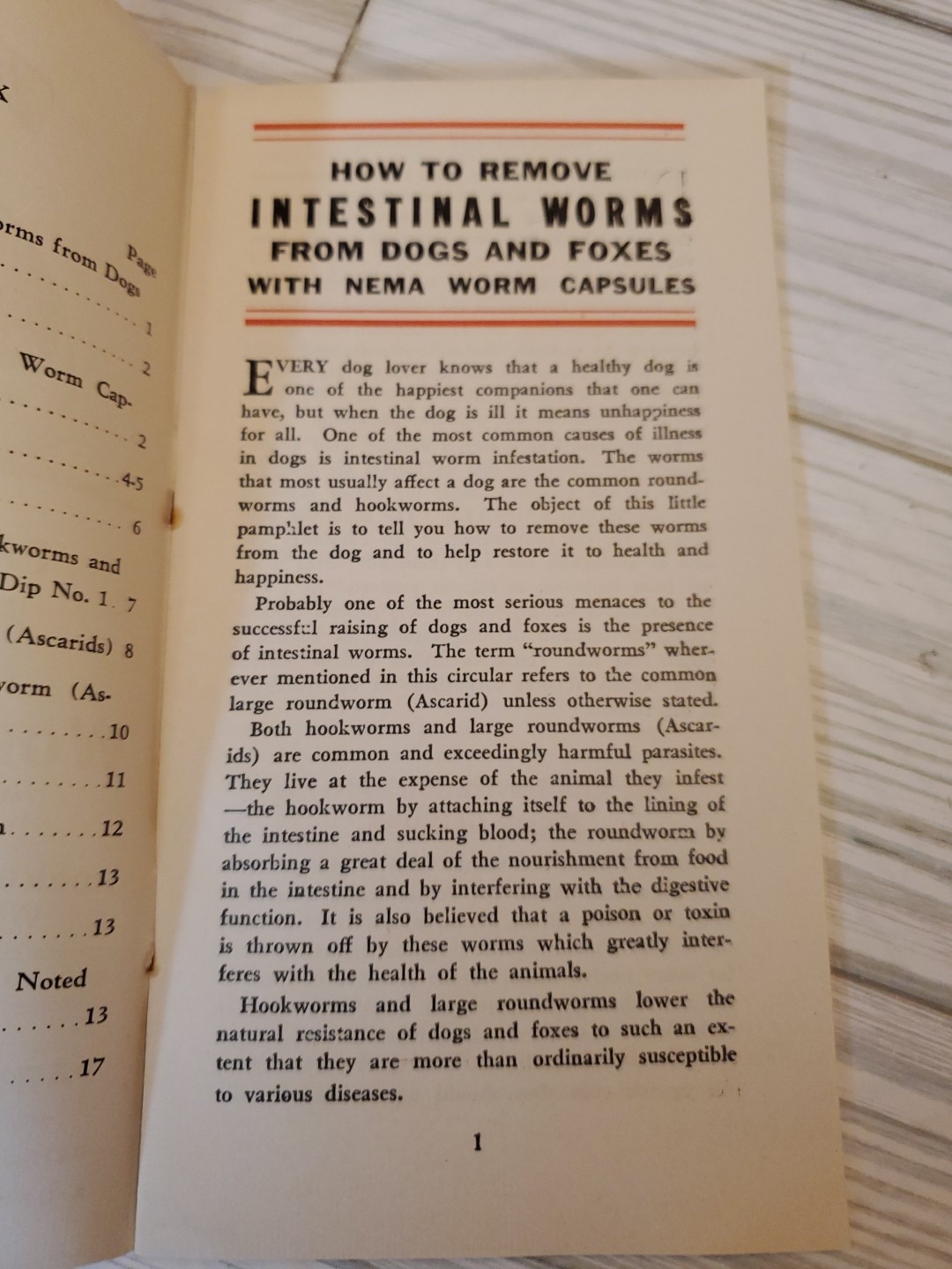1927 NEMA Worm Capsules Prevention of Dog Diseases Parke Davis & Co. Brochure