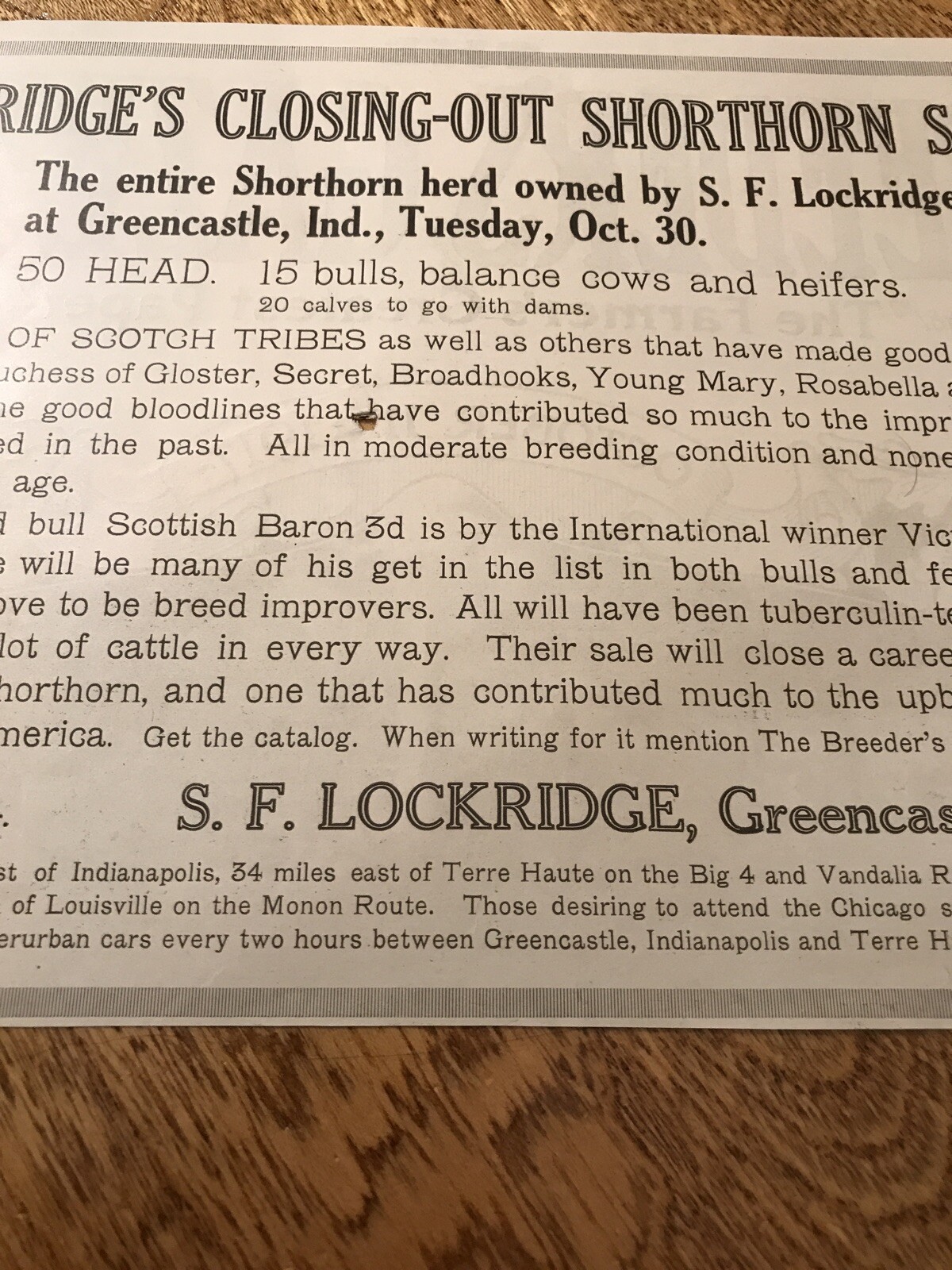 1917 Cattle Livestock Public Sale Cow – Greencastle – Indiana – Farm Advertising