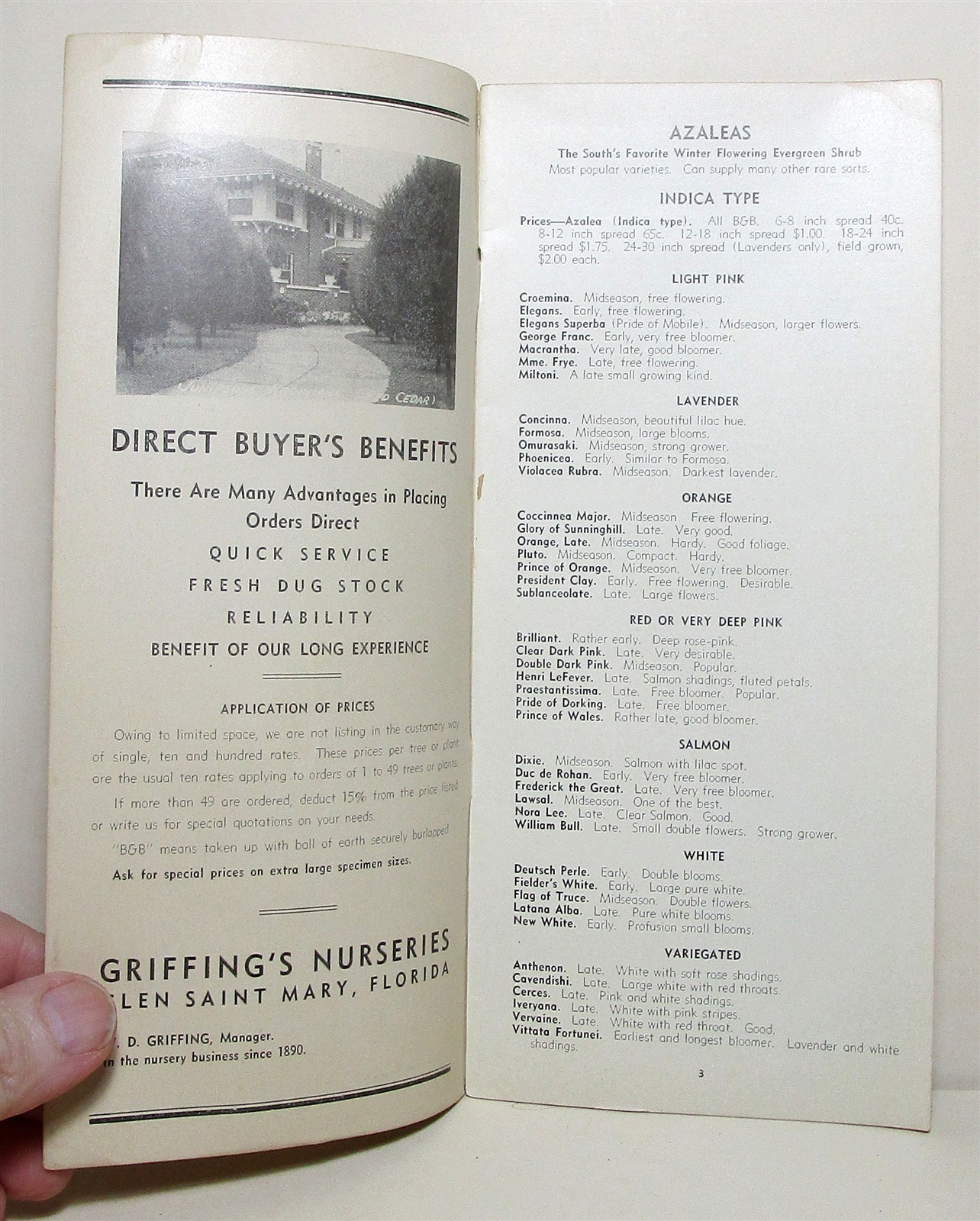 1936 Griffing&rsquo;s Nurseries tree & plant buyer&rsquo;s guide, Glen Saint Mary Florida