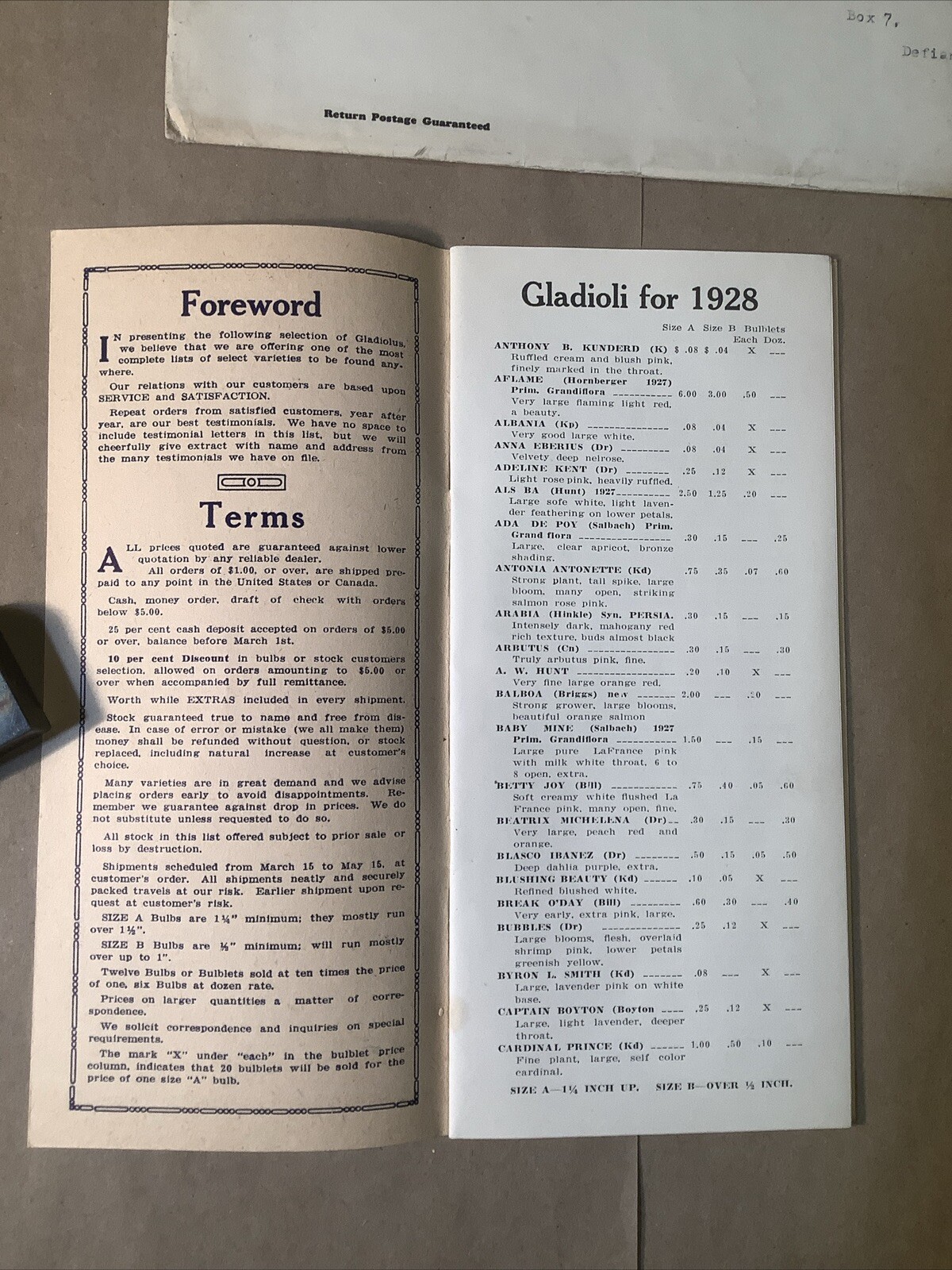 1928 Gladiola Pricing List Henry Petty Paulding Ohio INV-P0372