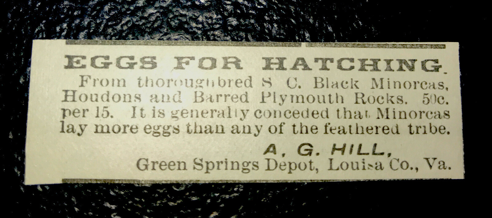 1900 A.G. Hill Chicken Eggs Farm Advertising – Green Springs Depot – Virginia