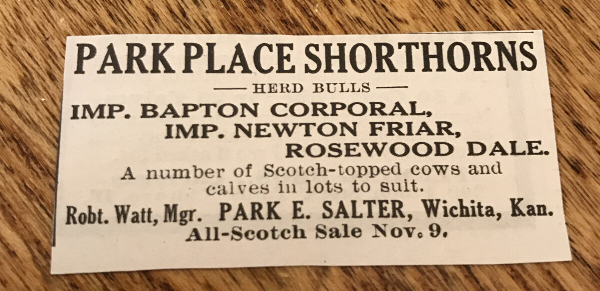 1917 Park Place Shorthorns Cattle Advertising – Cow – Wichita – Kansas