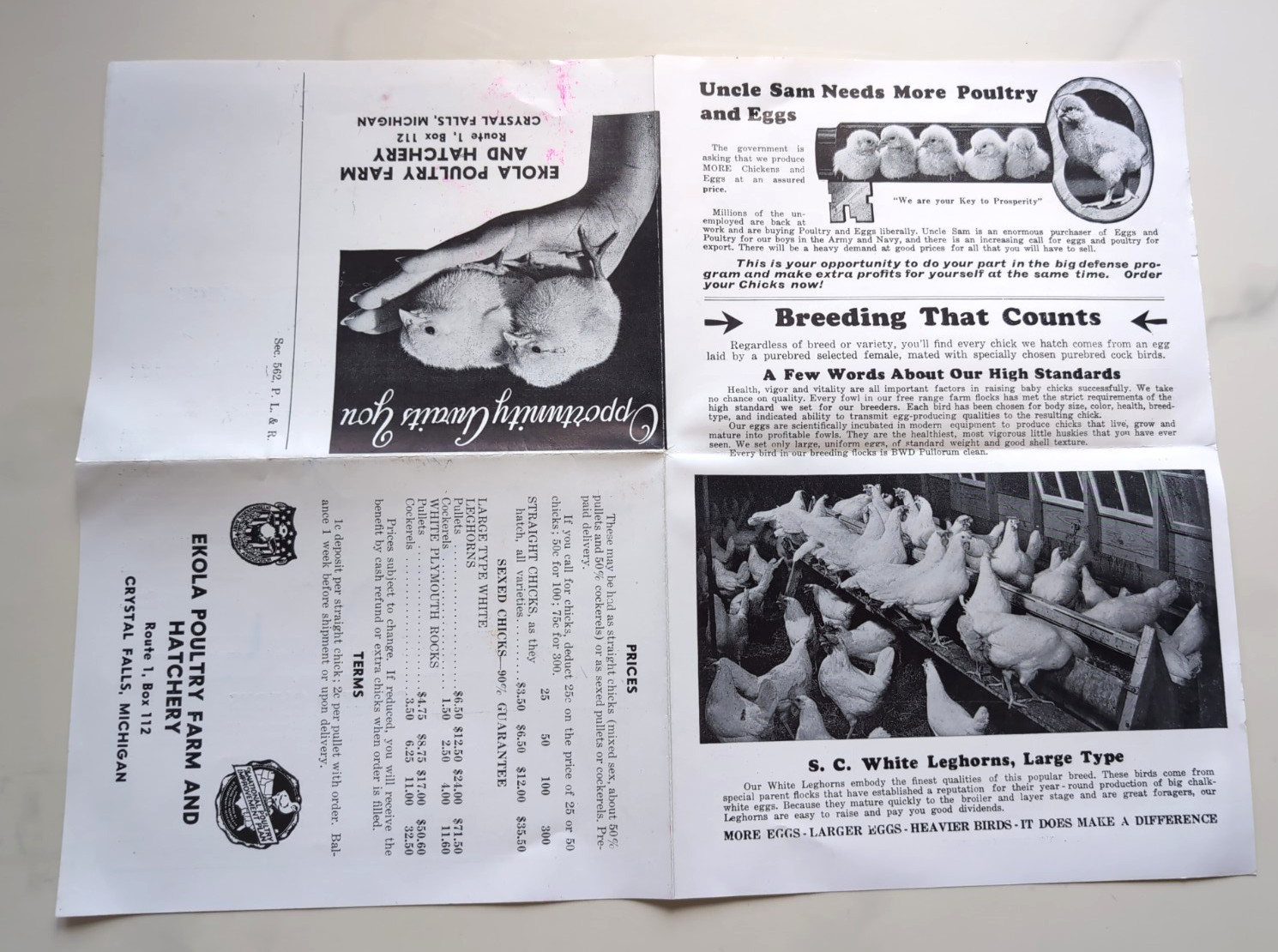 Vtg Ekola Bros. Poultry Farm & Hatchery Price Brochure Crystal Falls, Michigan
