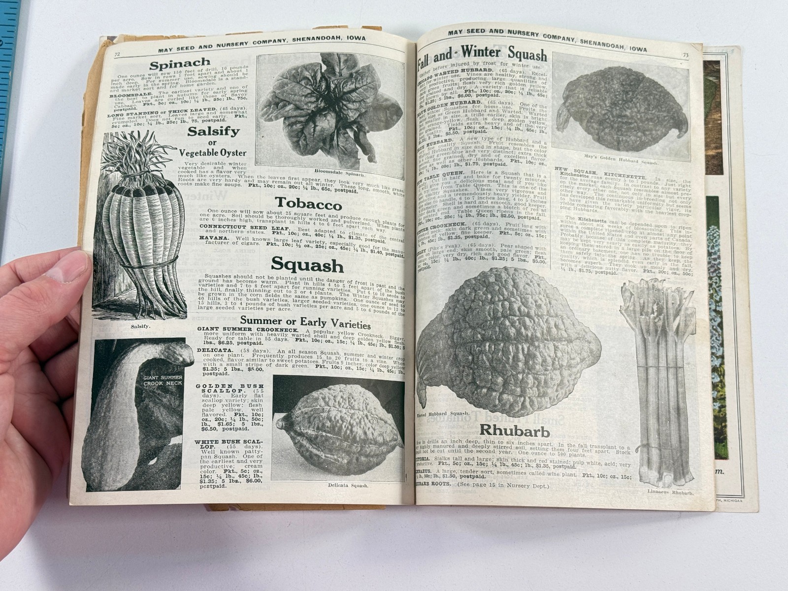 1924 May Seed Advertising Catalog Shenandoah Iowa IA