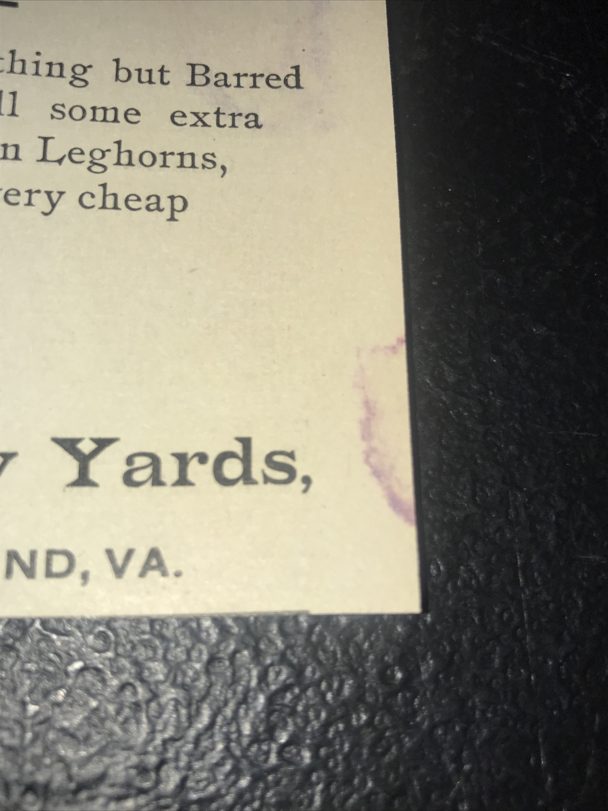 1900 Ivanhoe Poultry Yards Chicken Farm Advertising – Richmond – Virginia