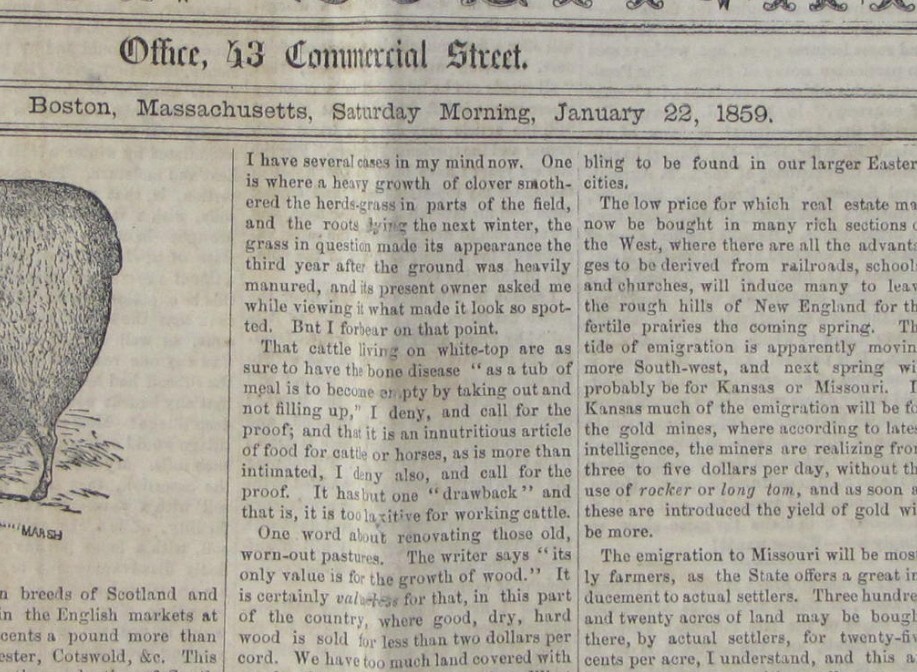 Antique 1859 Boston Massachusetts Farm News Newspaper
