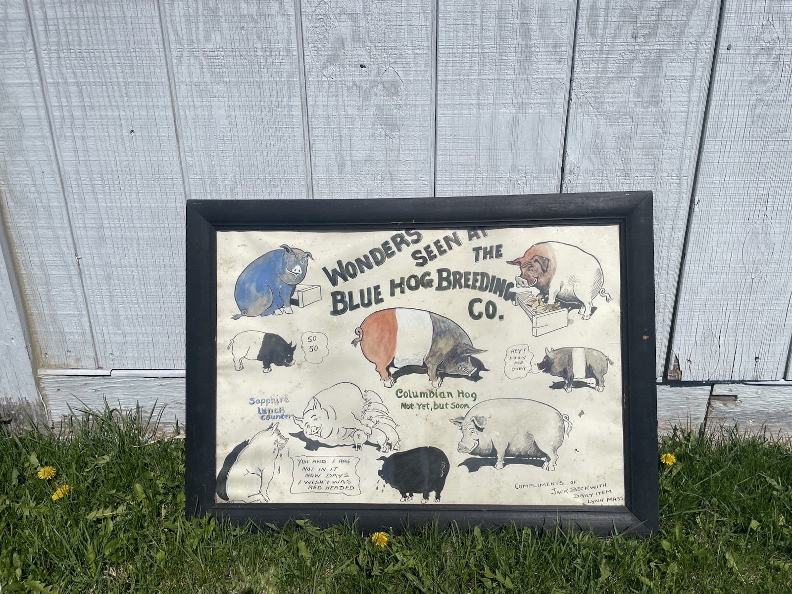 Blue Hog Vintage Advertising Poster – Antique – Rustic Americana