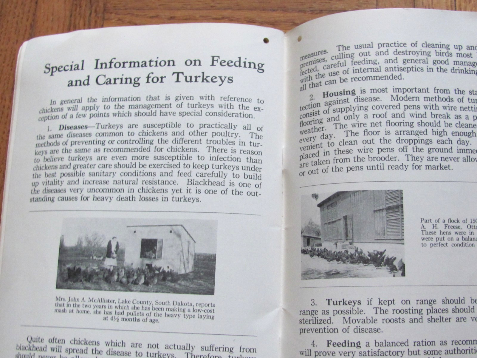 1937 MOORMAN MFG CO QUINCY BOOKLET BIG PAY FROM POULTRY FARM CHICKEN CARE INFO