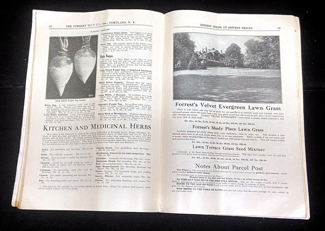 1925 and 1926 FORREST&rsquo;S HONEST SEEDS – FORREST SEED CO CATALOGUES – TWO Each 72p