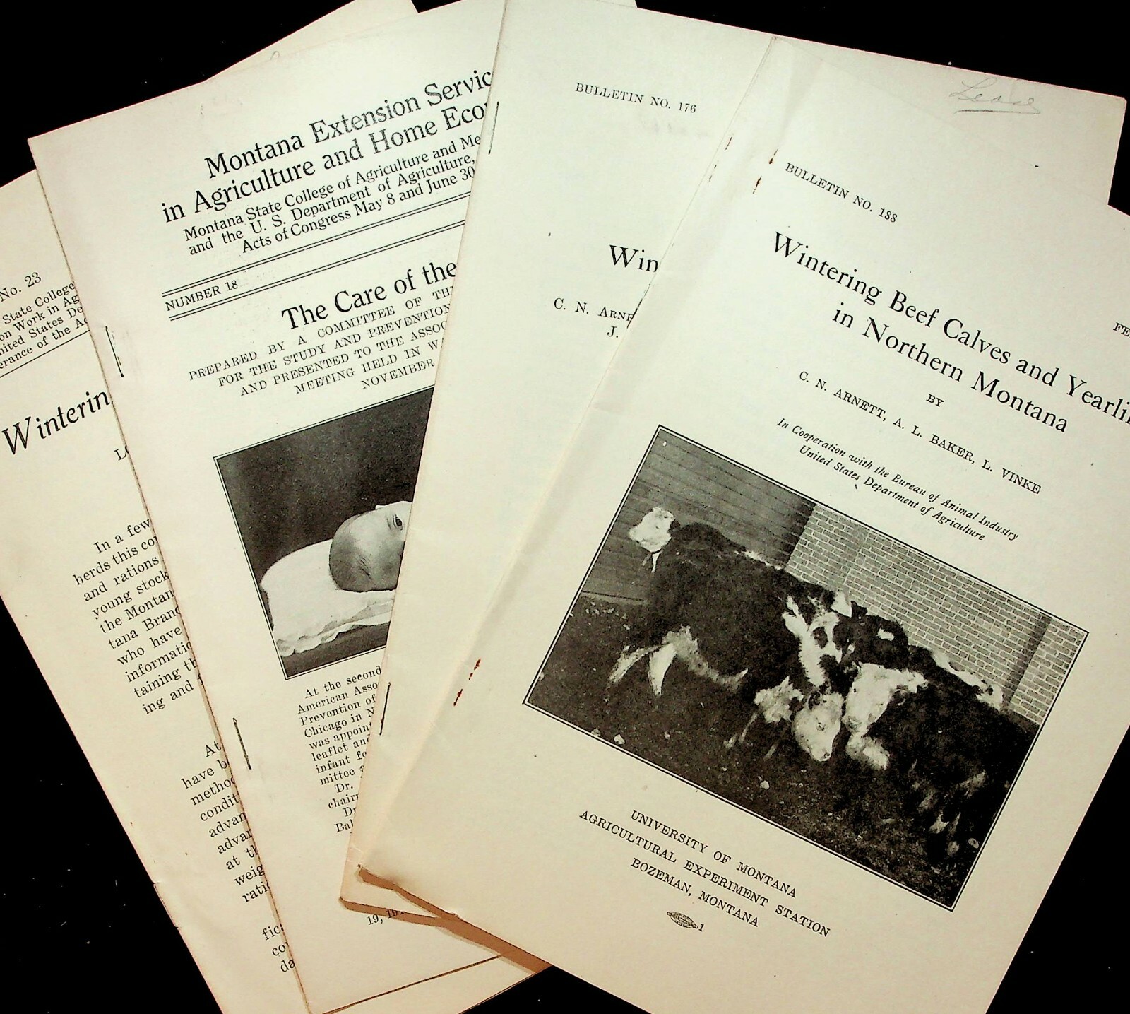 Vintage University Of Montana And State College Agricultural Bulletins USDA Beef