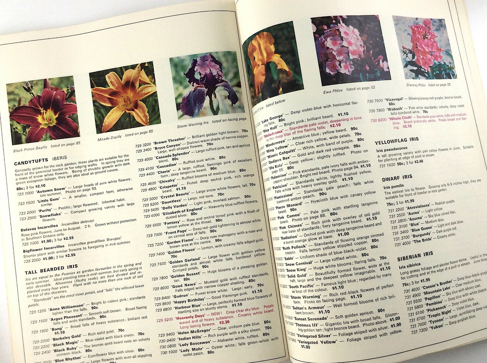 Vintage 1968 Seed Catalog Sheridan Nurseries Limited Ontario Canada Q291