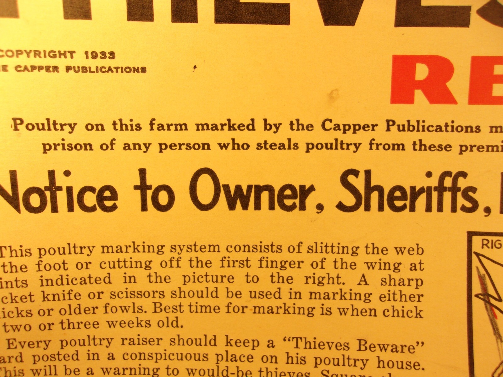 RARE OLD VTG ANTIQUE 1933 PLACARD: THIEVES BEWARE, REWARD (FOR POULTRY THEFT)