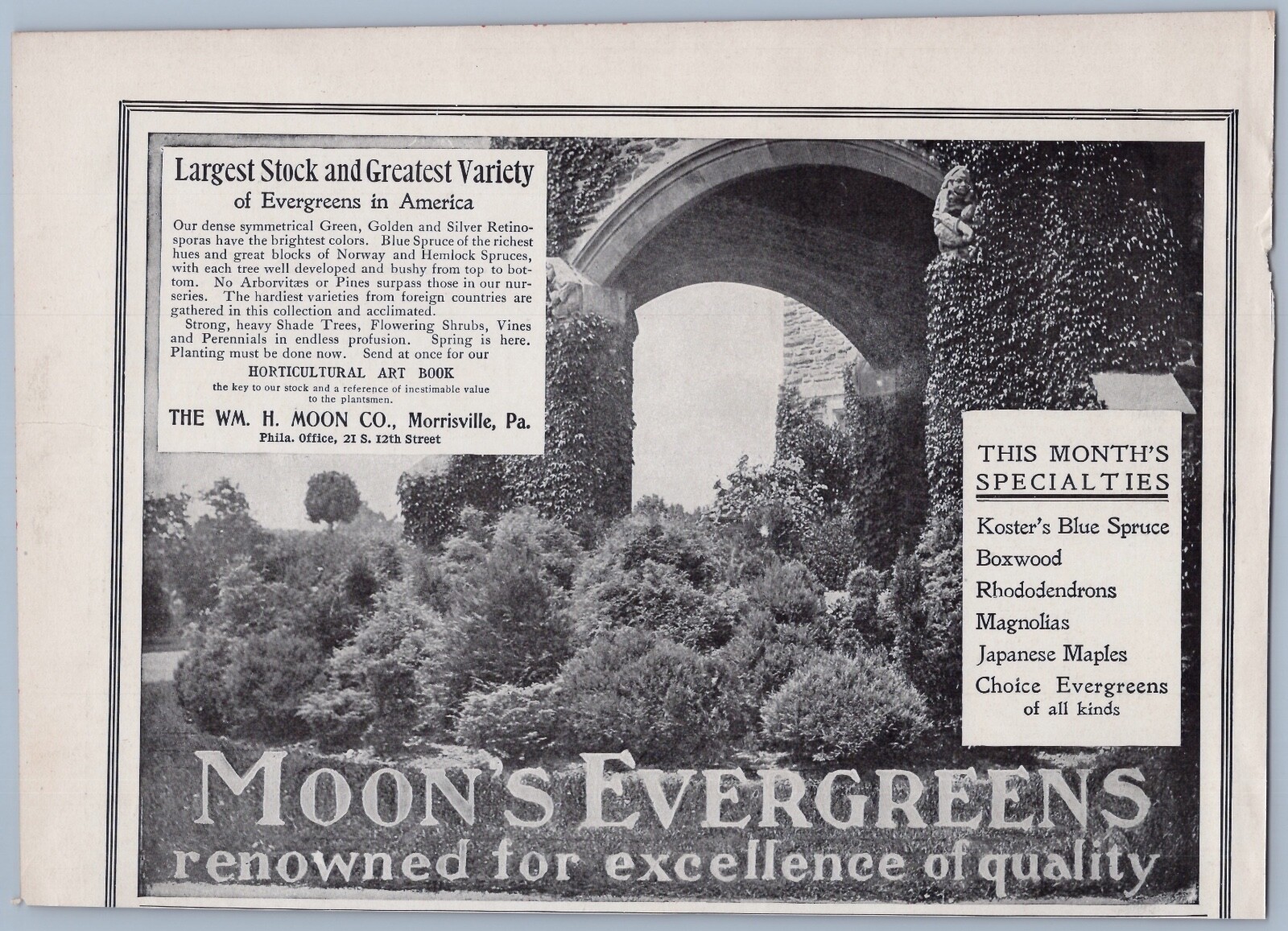 1906 William H Moon Glenwood Nurseries Vintage Ad Morrisville PA Evergreens