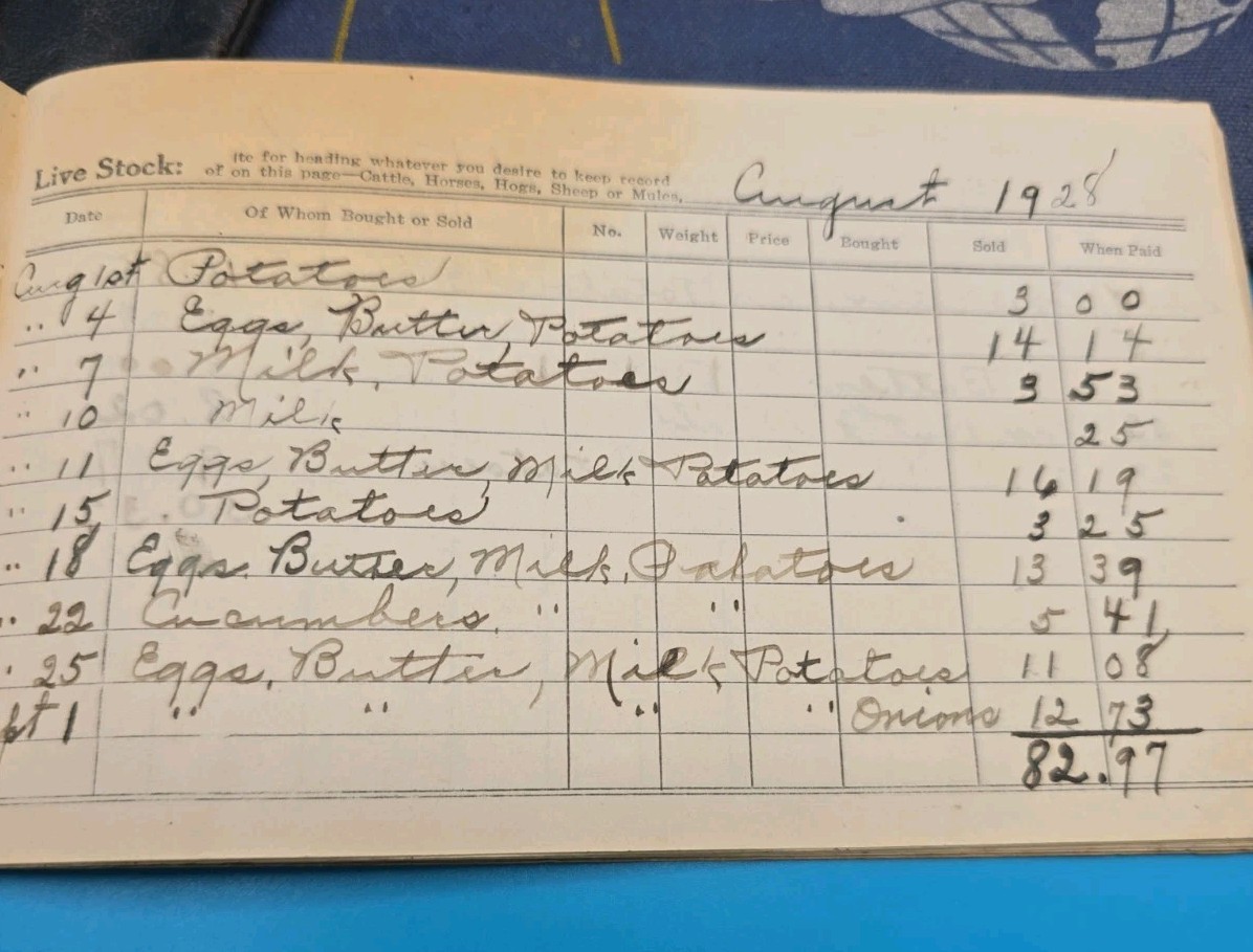 1928–1929 Michigan Farm Ledger – Buttermilk, Eggs, Produce, Livestock, Cow Sale