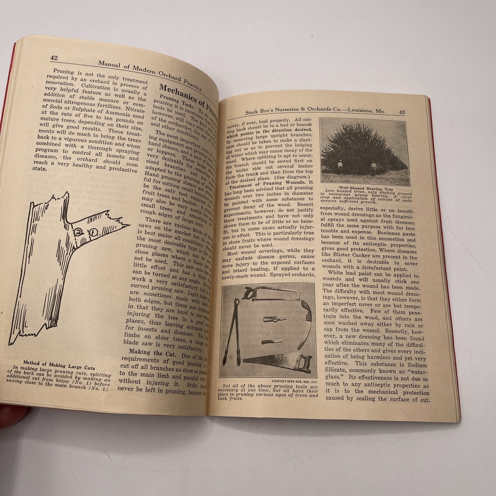 1924 Stark Bro’s Manual Of Modern Orchard Practice
