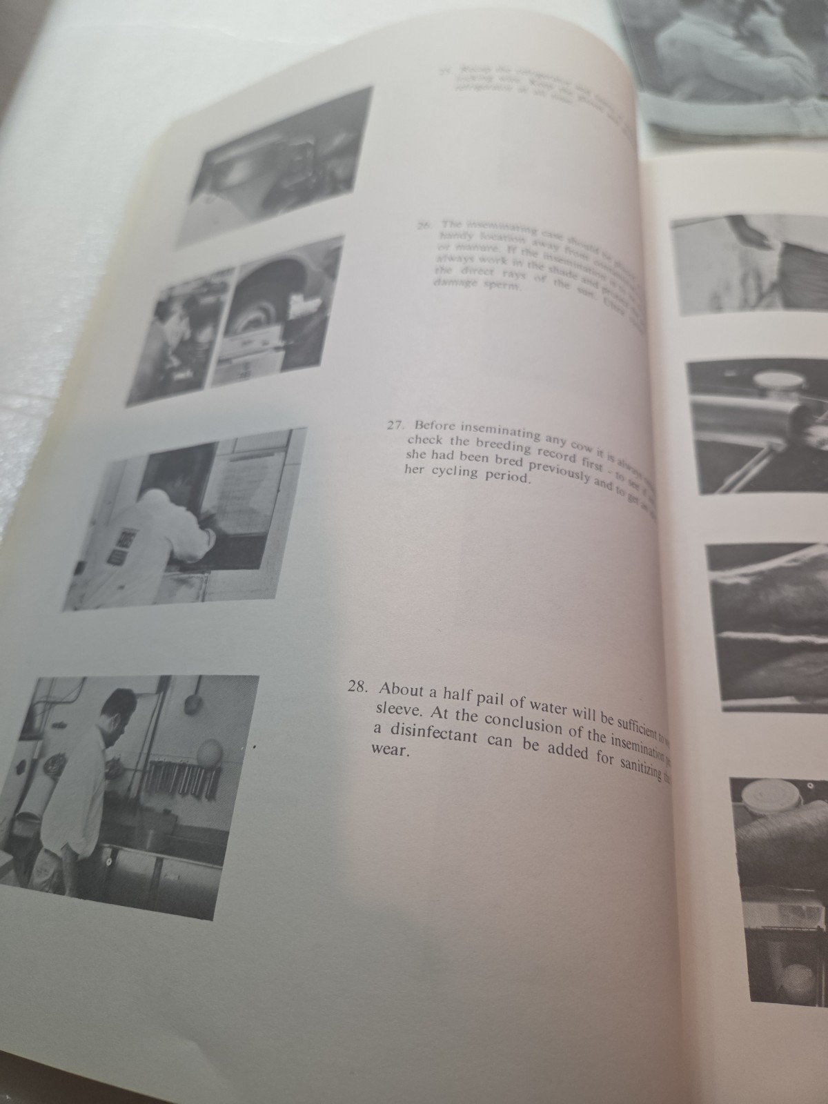 Vintage 1971 ABS American Breeders Service A I Management MANUAL