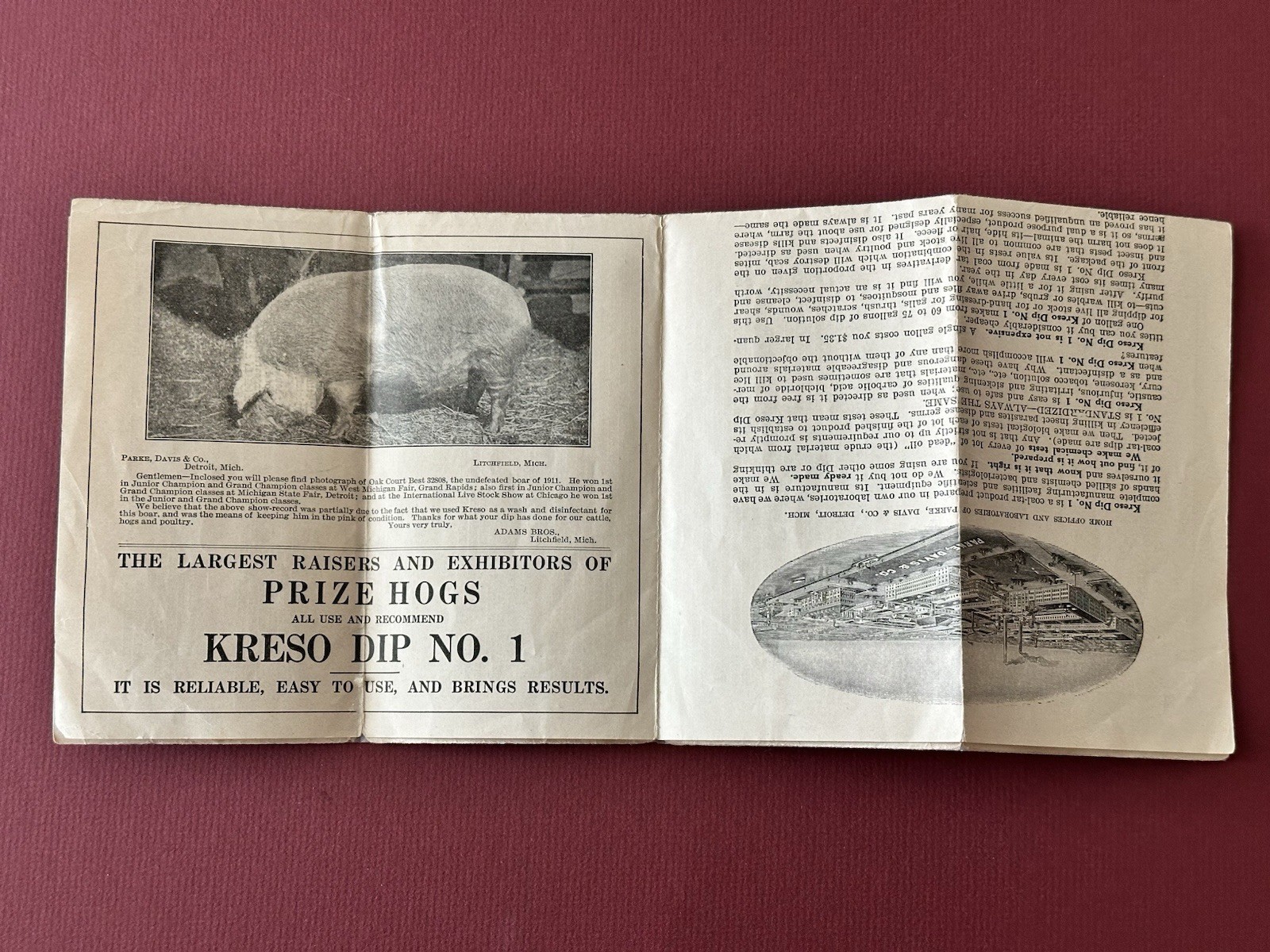 Vintage 1918 Kreso Dip No. 1 Brochure, Farm Sanitation, Etc., Parke, Davis & Co.