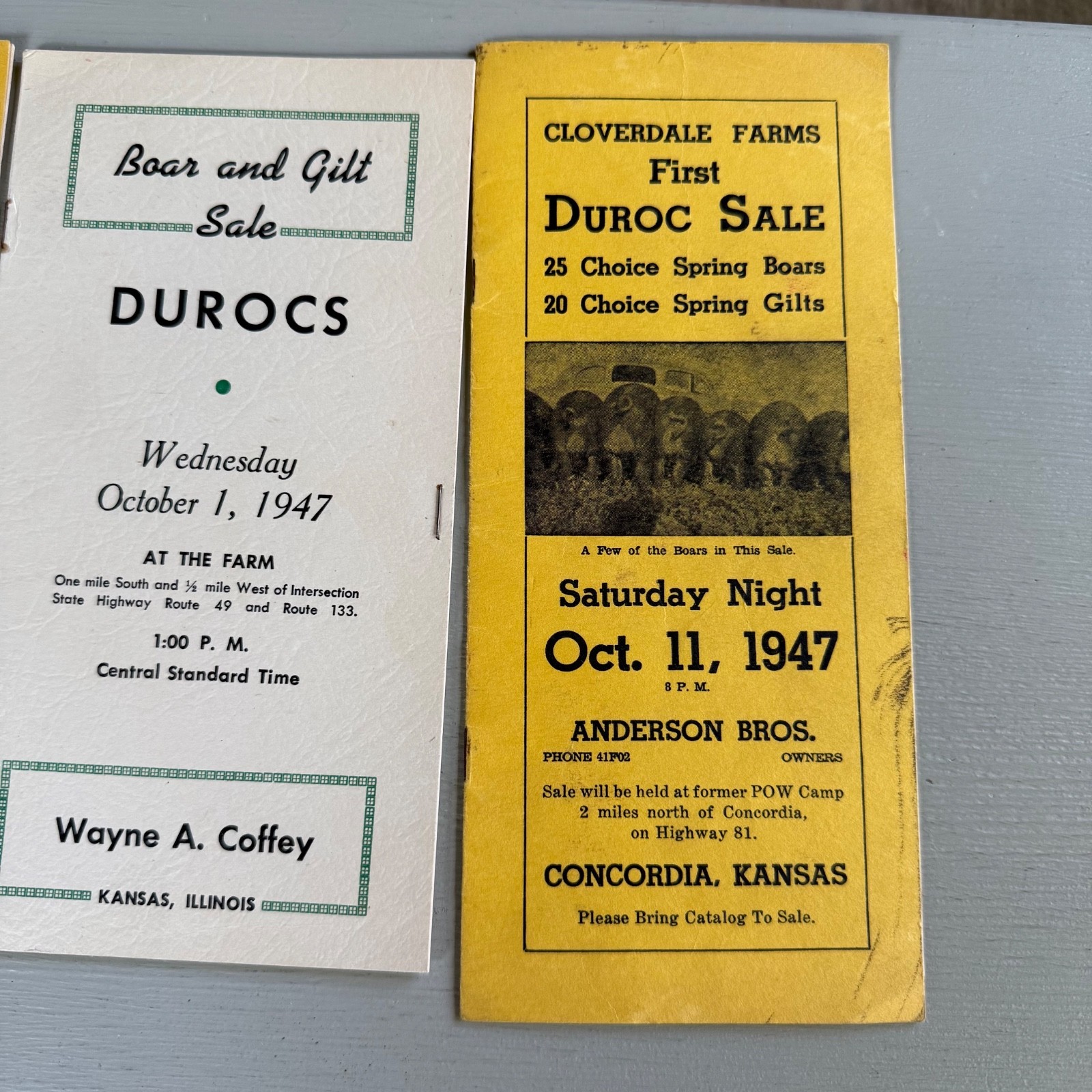 Mixed Lot of 15 Vintage Duroc Pig Hog Auction Sale Brochure Advertising Kansas