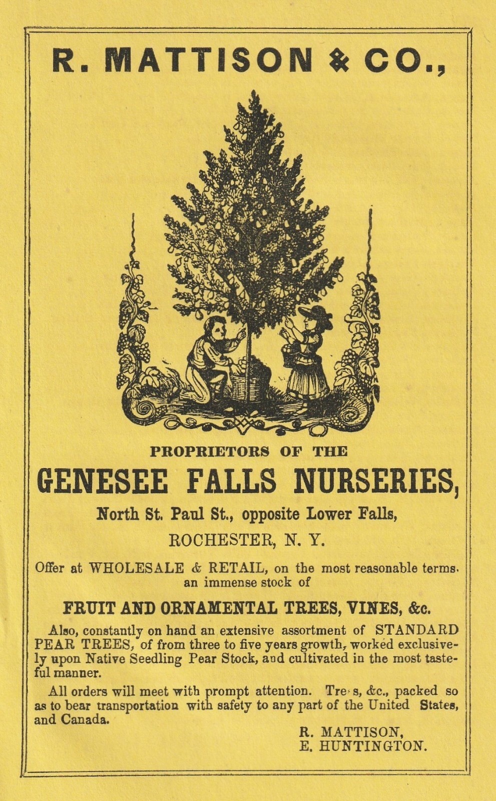 RARE Advertising Leaflet Ad- Mattison 1857- Genesee Falls Nurseries Rochester NY
