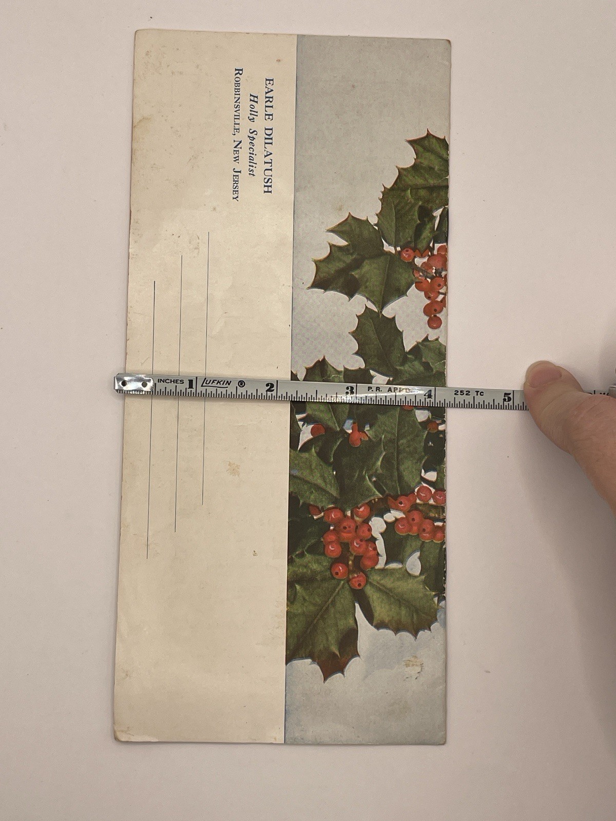 Earle Dilatush Holly Farm/Holly Specialist brochure- New jersey – 4×9